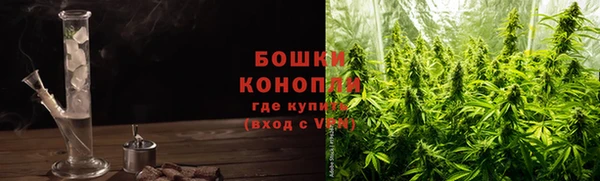 прущие крисы Богданович