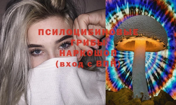 сатива Богородск