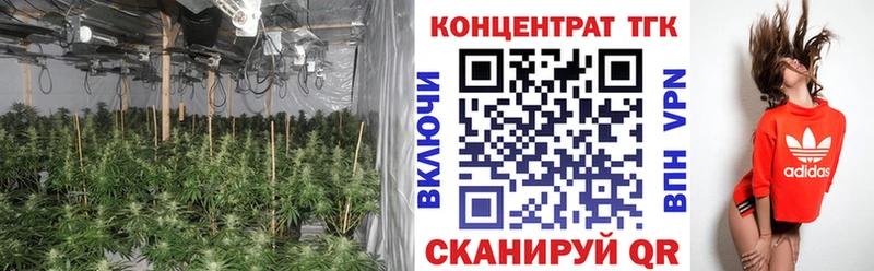 Дистиллят ТГК концентрат Высоковск